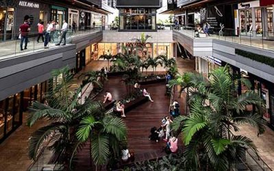 Ultimate Miami Shopping Guide