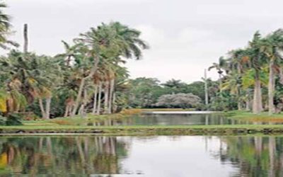 Fairchild Tropical Botanical Garden