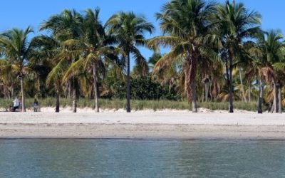 Key Biscayne – Miami Neighborhoods